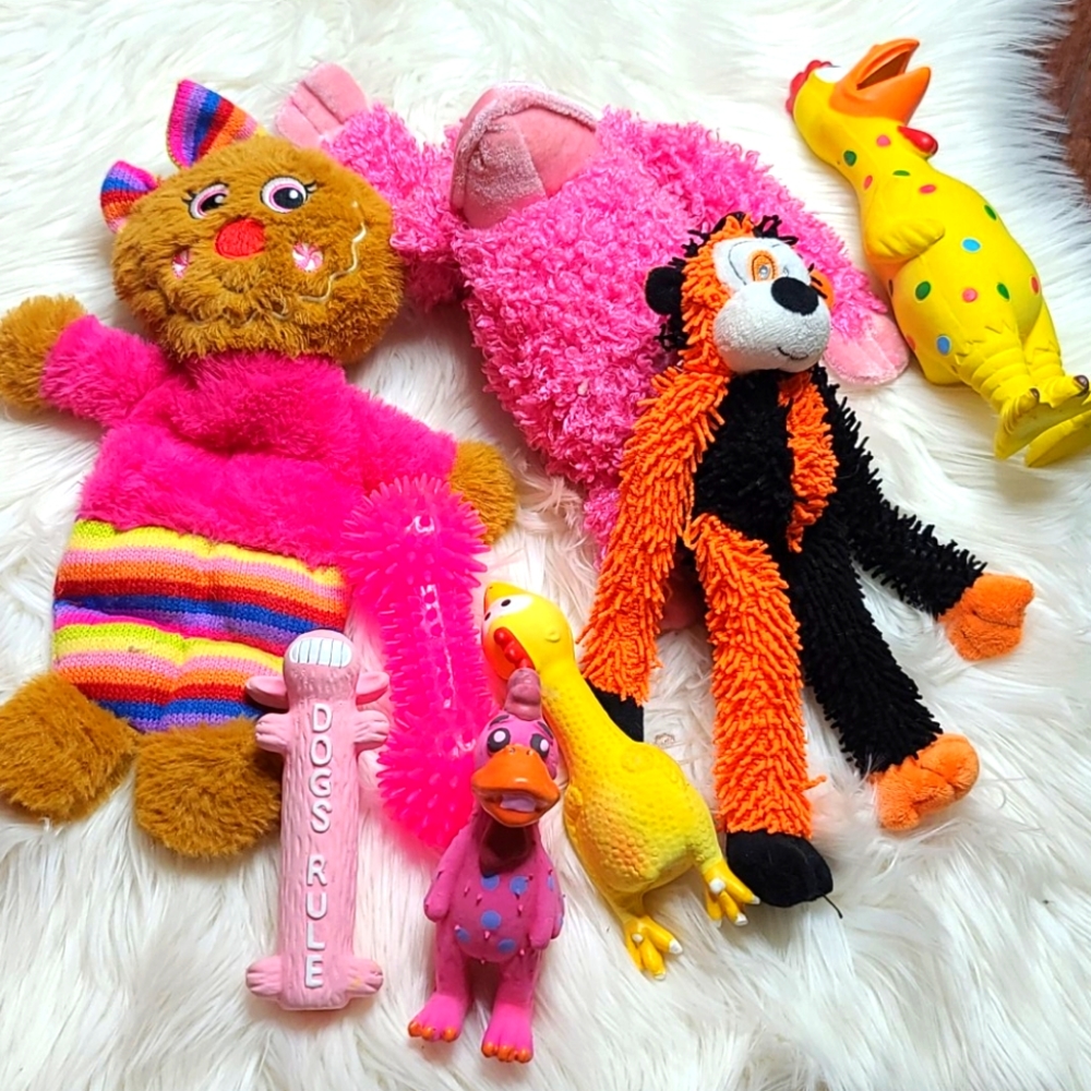 Bundle of pets toys